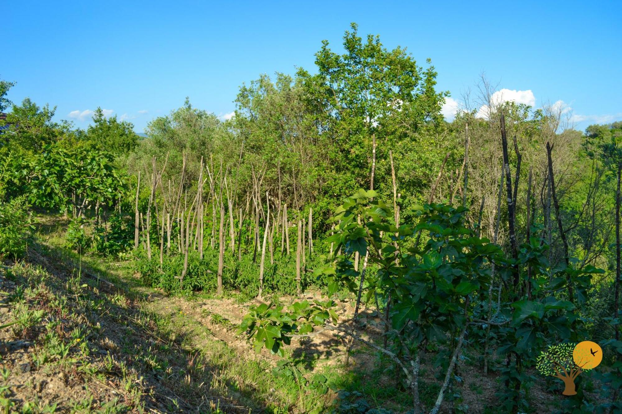 Benvenuti Nel Sud Sessa Cilento Exterior foto