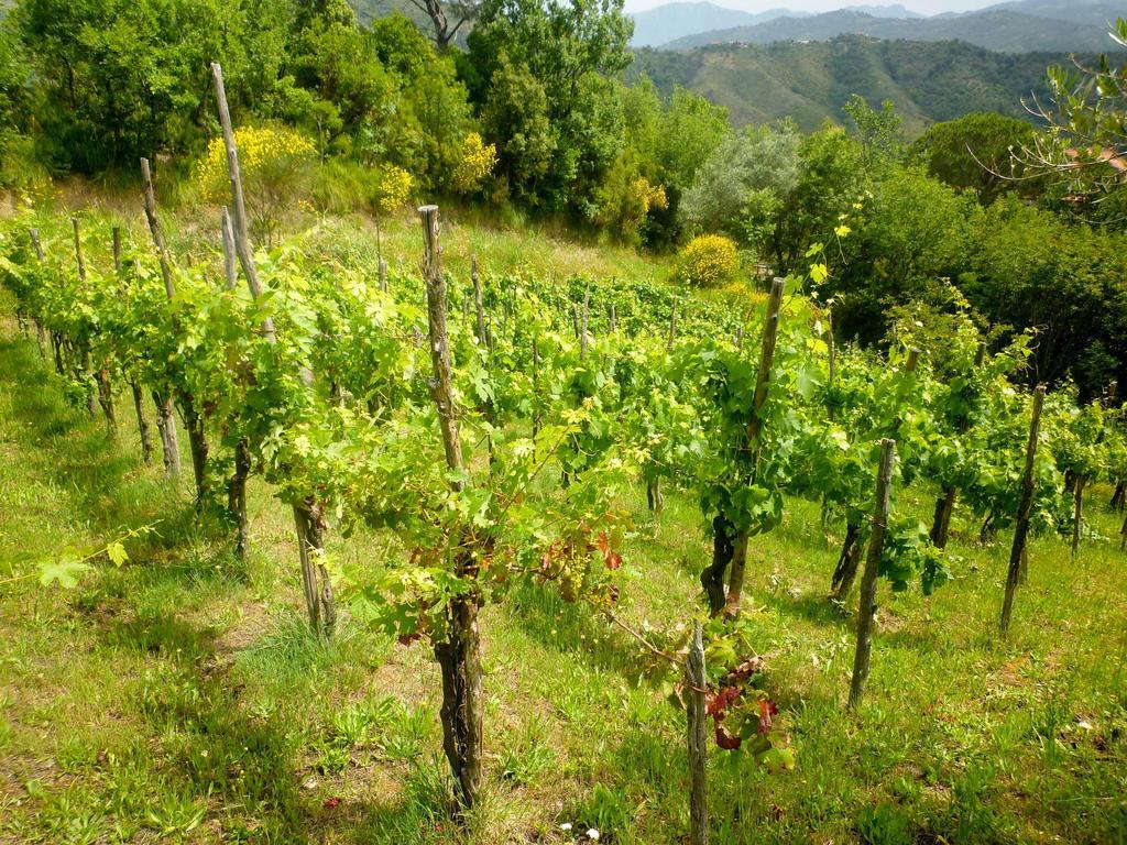 Benvenuti Nel Sud Sessa Cilento Exterior foto